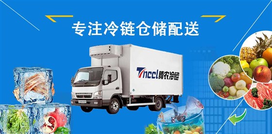 上海到北京冷冻运输公司 上海到北京冷藏物流公司