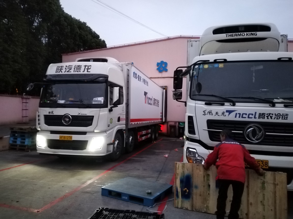 上海到广州冷链物流运输公司