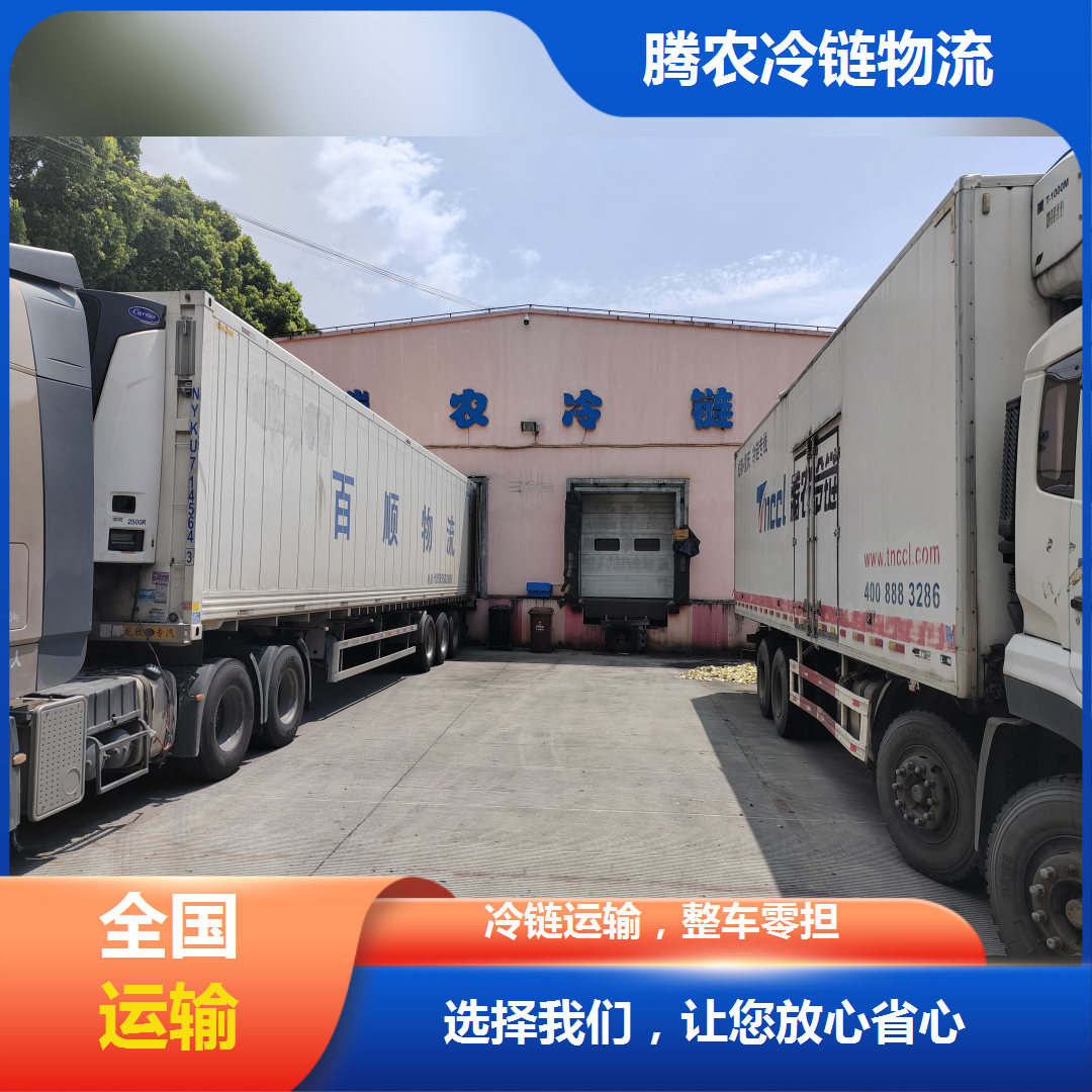 上海到天津冷链物流公司|冷藏运输专线|冷链仓储货运