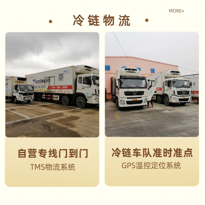 上海腾农冷链物流—冷藏冻品、恒温药品物流、冰淇淋冷链运输