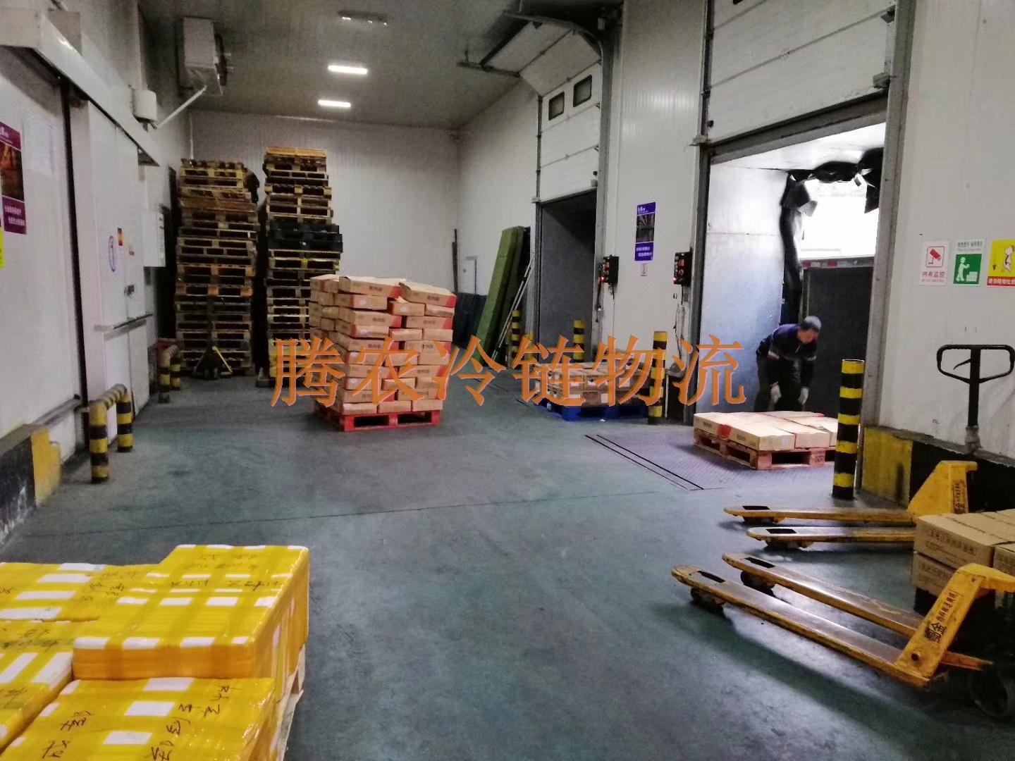 上海闵行区到北京牛肉冷链运输专线食品冷链运输